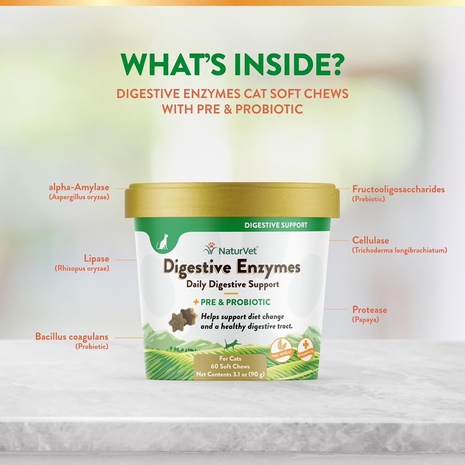 NaturVet Digestive Enzymes with Pre & Probiotic for Dogs & Cats - 8 oz | Supports Diet Changes & a Healthy Digestive Tract with Prebiotics, Powder