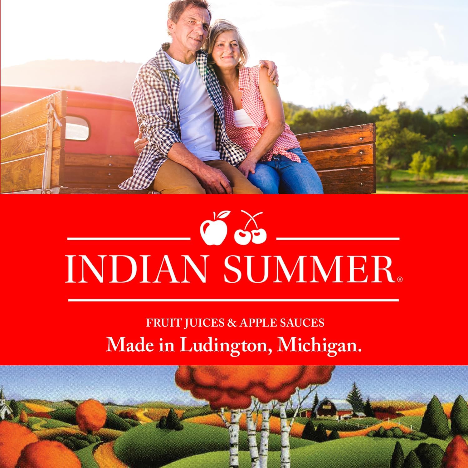 Indian Summer Chunky Peach Applesauce, 23 Ounce (Pack of 6), Made in USA