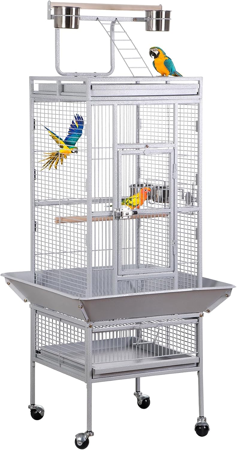 Nova Microdermabrasion 68-Inch Height Wrought Iron Standing Large Play Top Bird Cage for African Grey Small Quaker Parrot Cockatiel Sun Parakeet Green Cheek Conure Dove Budgie Lovebird