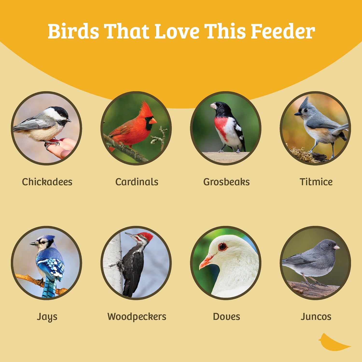 Birds Choice Classic Hanging Bird Feeder with Weatherguard Baffle | Squirrel Proof Bird Feeder for Cardinals, Chickadees