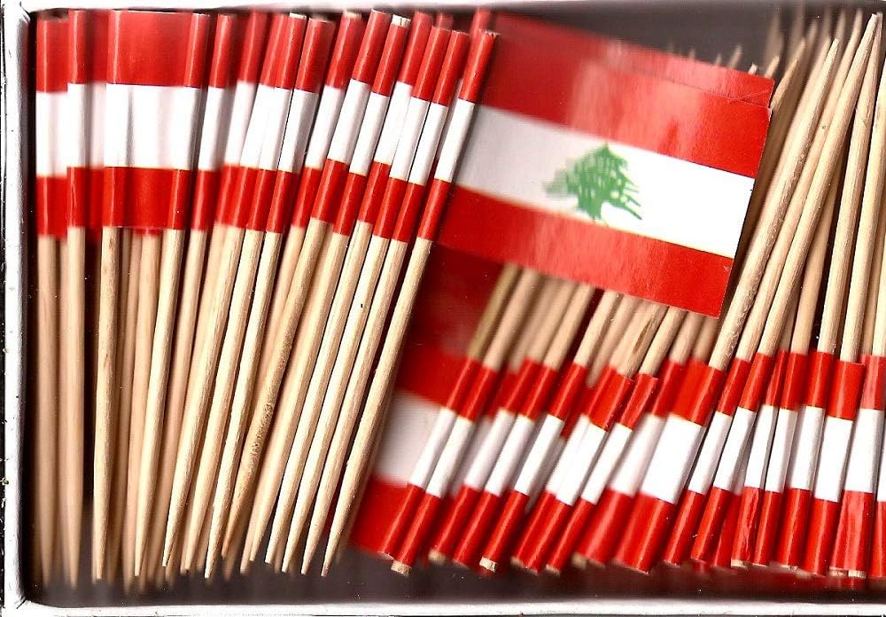 One Box of 100 Nicaragua Toothpick Flags, 100 Small Mini International Flag Cupcake Toothpicks or Cocktail Picks