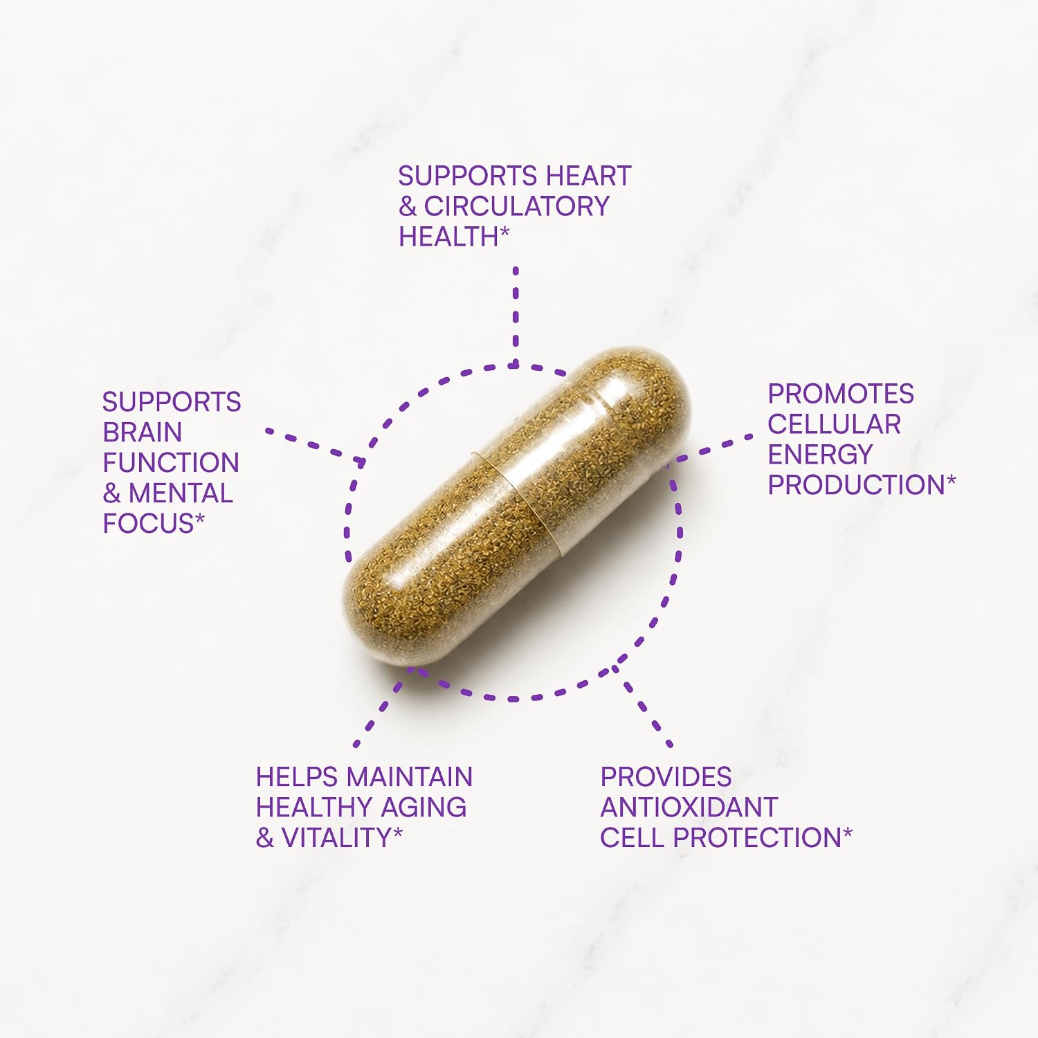 Purity Products CoQ10 Daily Super Boost with Ginkgo and Resveratrol from Supports Healthy Energy Levels and Healthy Brain Function - 60 Vegetarian
