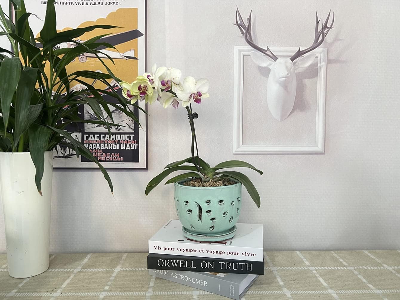 Orchid Pots with Holes Round Ceramic Flower Container Succulent Plant Planter Butterfly Pot Saucer Windowsill Contemporary Home Decoration (6 Inch
