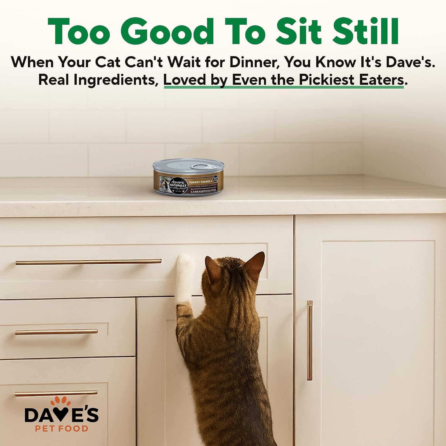 Dave's Pet Food Grain Free Wet Canned Cat Food Pate, Chicken, 12.5 oz, 12pk | Made in USA, Naturally Healthy, Easy to Digest Wheat & Gluten-Free, Use as Topper or Meal, Carrageenan-Free