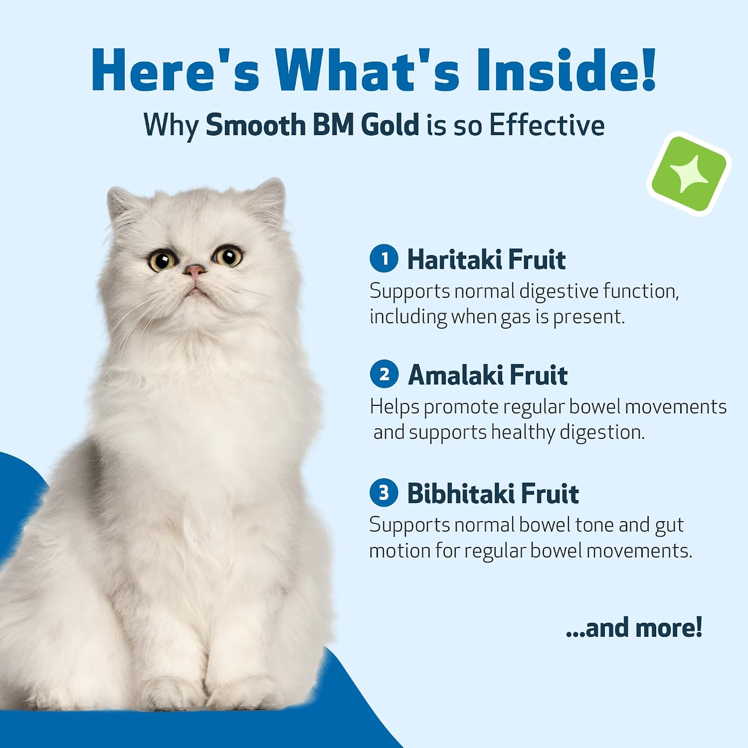 Pet Wellbeing Smooth BM Gold for Cats - Gentle Constipation Relief for Felines - Natural Herbal Supplement 2 oz (59 ml) | NASC Certified & Vet-Formulated Liquid Digestive Supplement with Triphala for Healthy Bowel Movements & Stool Consistency