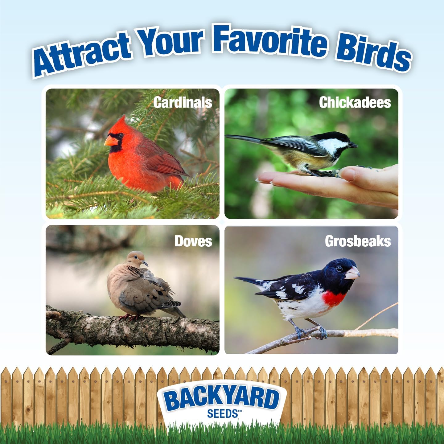 Backyard Seeds Woodpecker No-Waste Bird Seed Mix 5lbs - Premium Shelled Peanuts & Sunflower Chips, Small Bag of Wild Bird Food