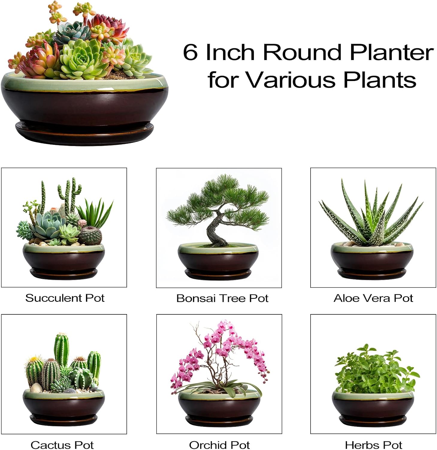 SQOWL 7 Inch Round Ceramic Succulent Planter Pot Drip Glazed Shallow Planter with Drainage Bamboo Tray for Indoor Plants