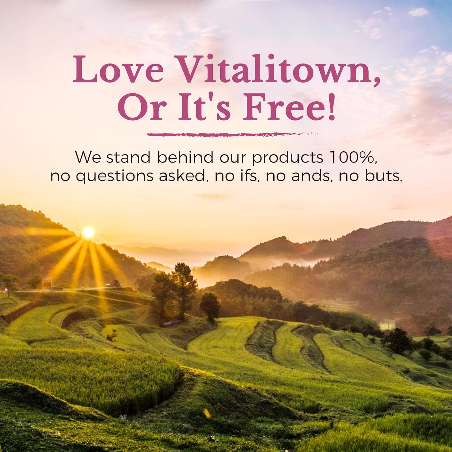 Vitalitown Probiotics for Women 120 Billion CFUs, 30 Strains, with Prebiotics & Digestive Enzymes & Cranberry, Gut & Vaginal Health