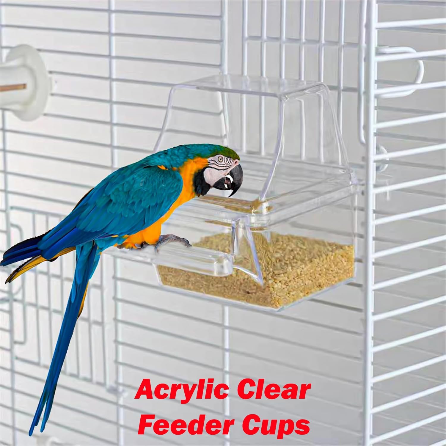 38-Inch Double Roof Top Large Flight Bird Cage with Toys Climbing Ladder Side Nesting Box Doors for Cockatiels Sun Parakeets Conures Aviary Budgie Finch Lovebird Canary Pet Bird Travel Cage