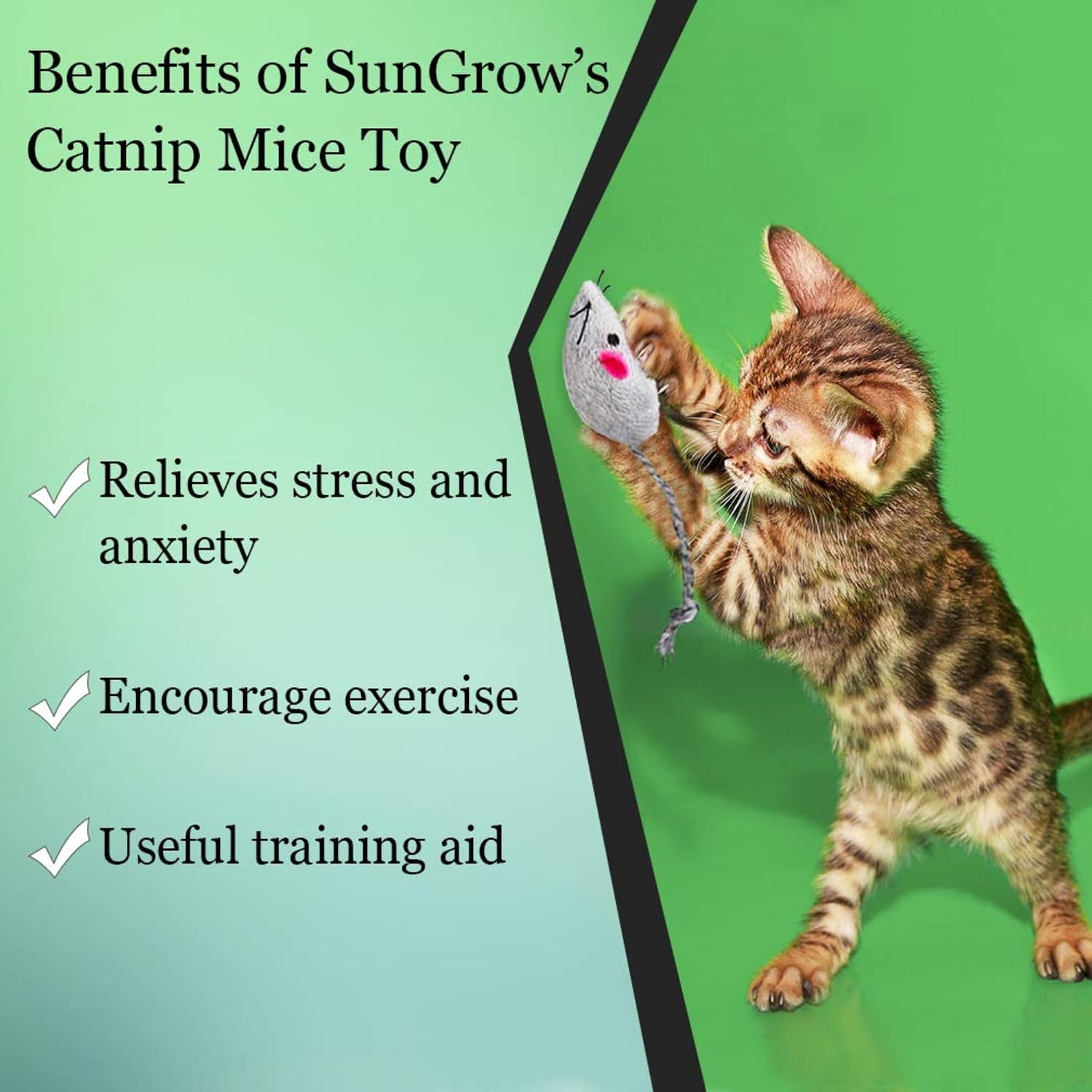 SunGrow Cat Catnip Mice Toys, Furry Plush for Hunting and Pouncing Instinct, 2”, Interactive, Encourages Agility, Coordination, Fun for Hours