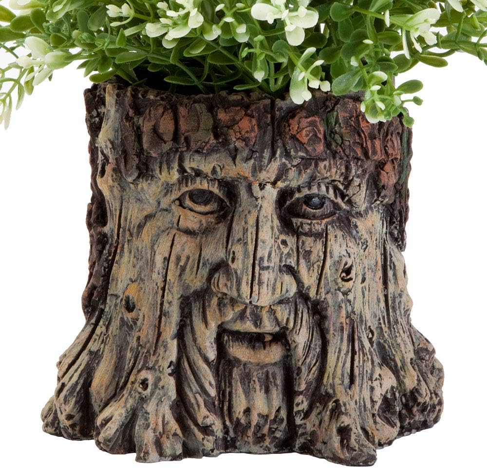 Bits and Pieces - Tree Face Garden Planter Flower Pot - 5 1/2 Inch