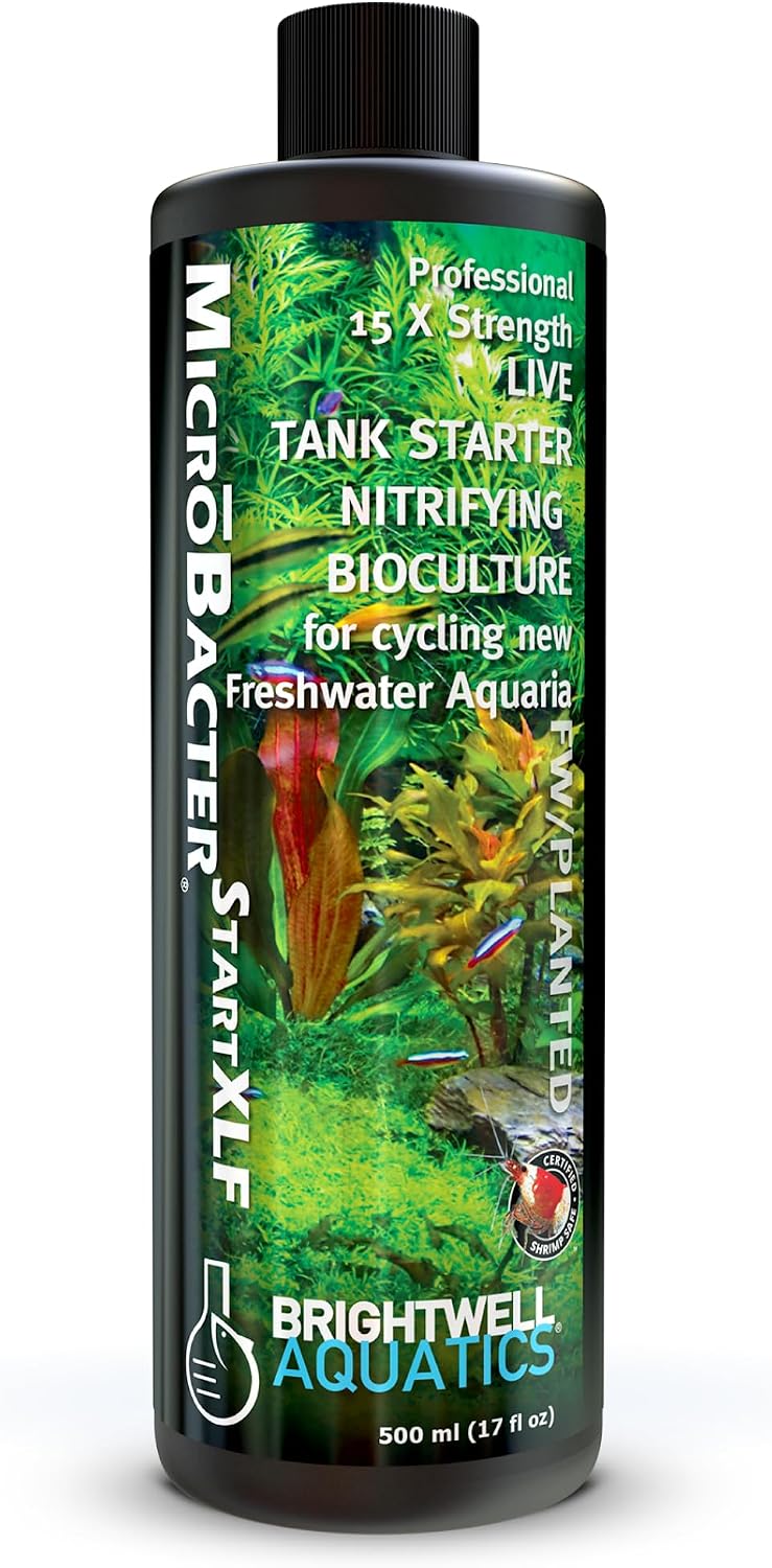 Brightwell Aquatics MicroBacter Start XLF Freshwater Tank Starter, 125 ml