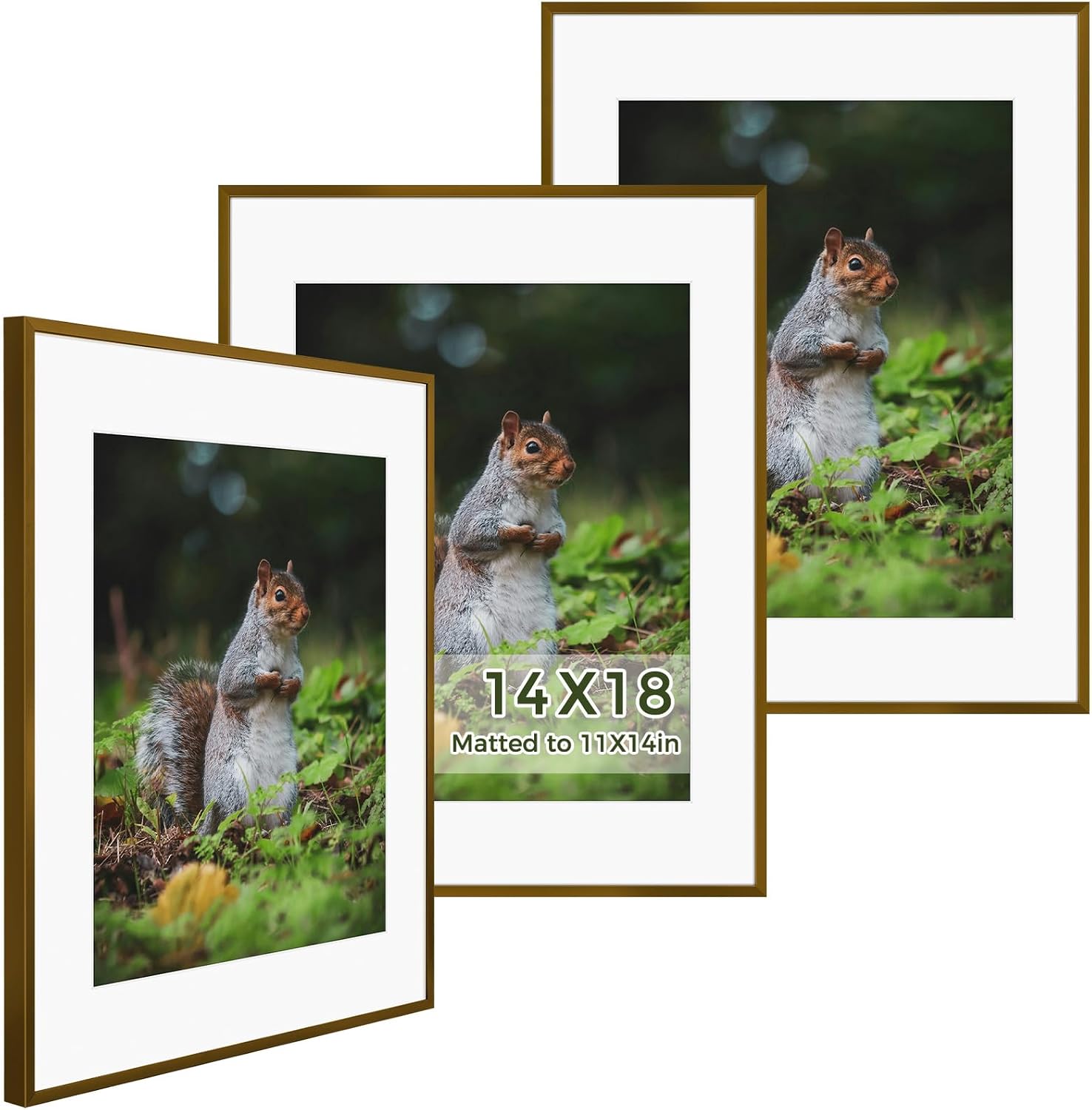 Golden State Art 3 Pack 12x12 Black Aluminum Frames, Real Glass Fronts