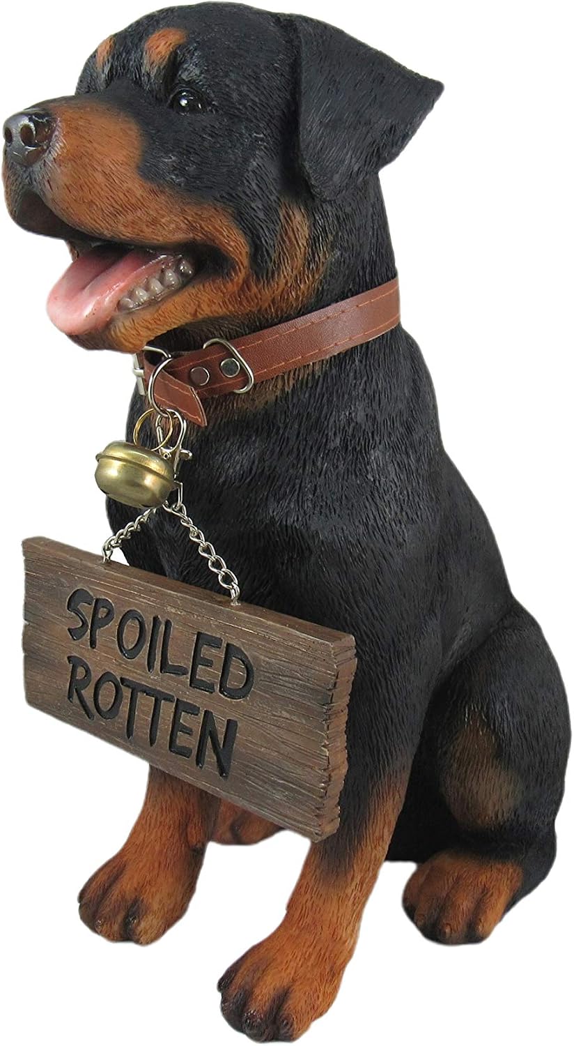 Rottweiler Outdoor Statue, 13 Inch Guard Dog with Reversible Sign