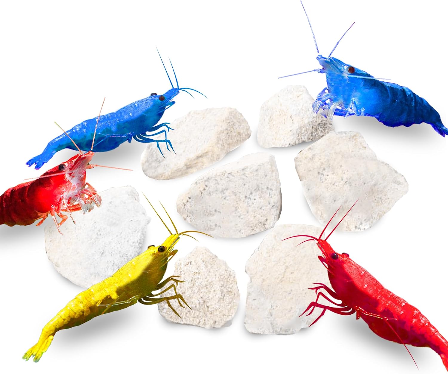 JOR Water Conditioner Calcium Rocks for Baby Shrimps, Isopods, and Crayfish, Enhances Pet Color, Provides Hideout, Breeding Spot