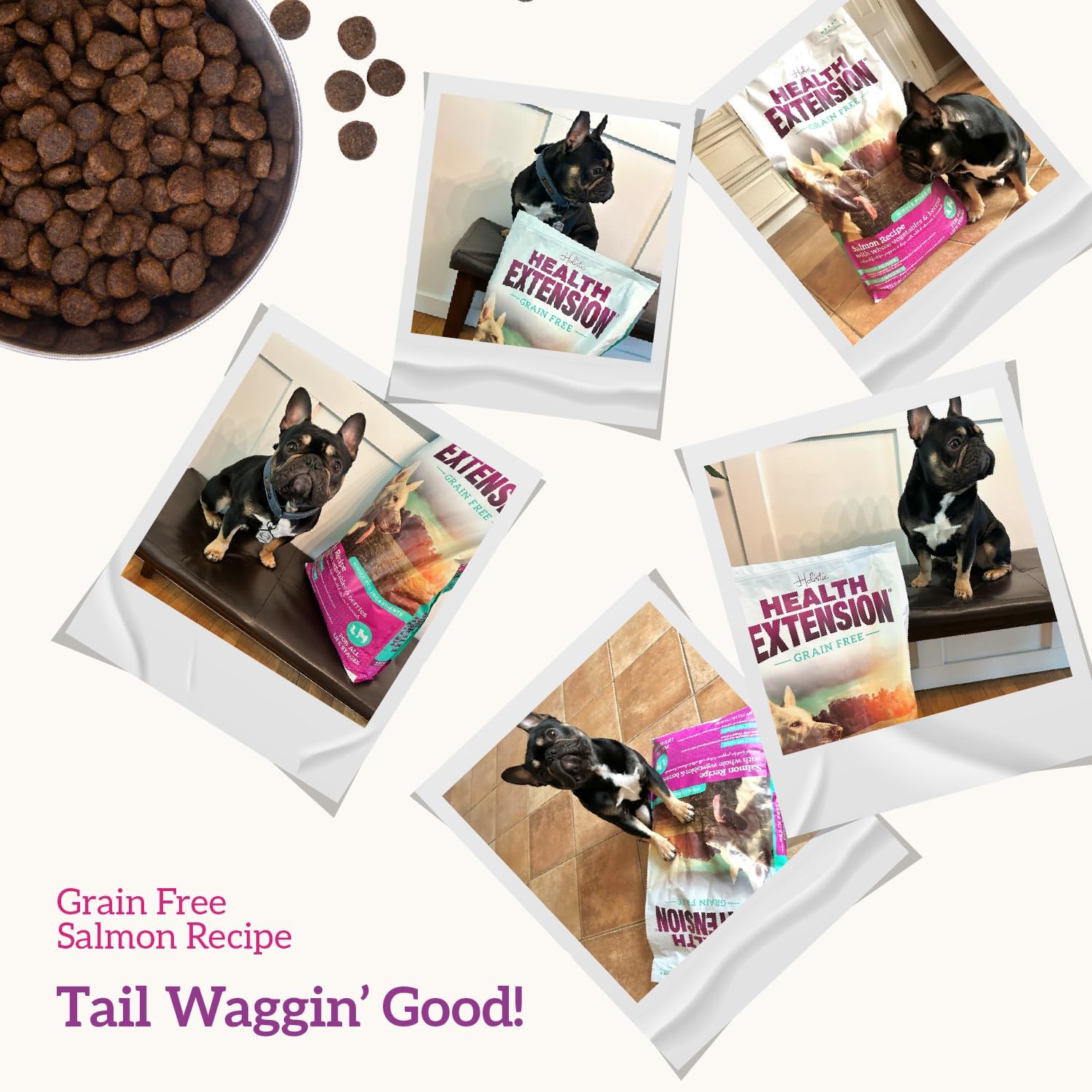 Health Extension Grain Free Venison & Sweet Potato Dry Dog Food - 30+ Superfoods and Probiotics for All Life Stages (10 lb)