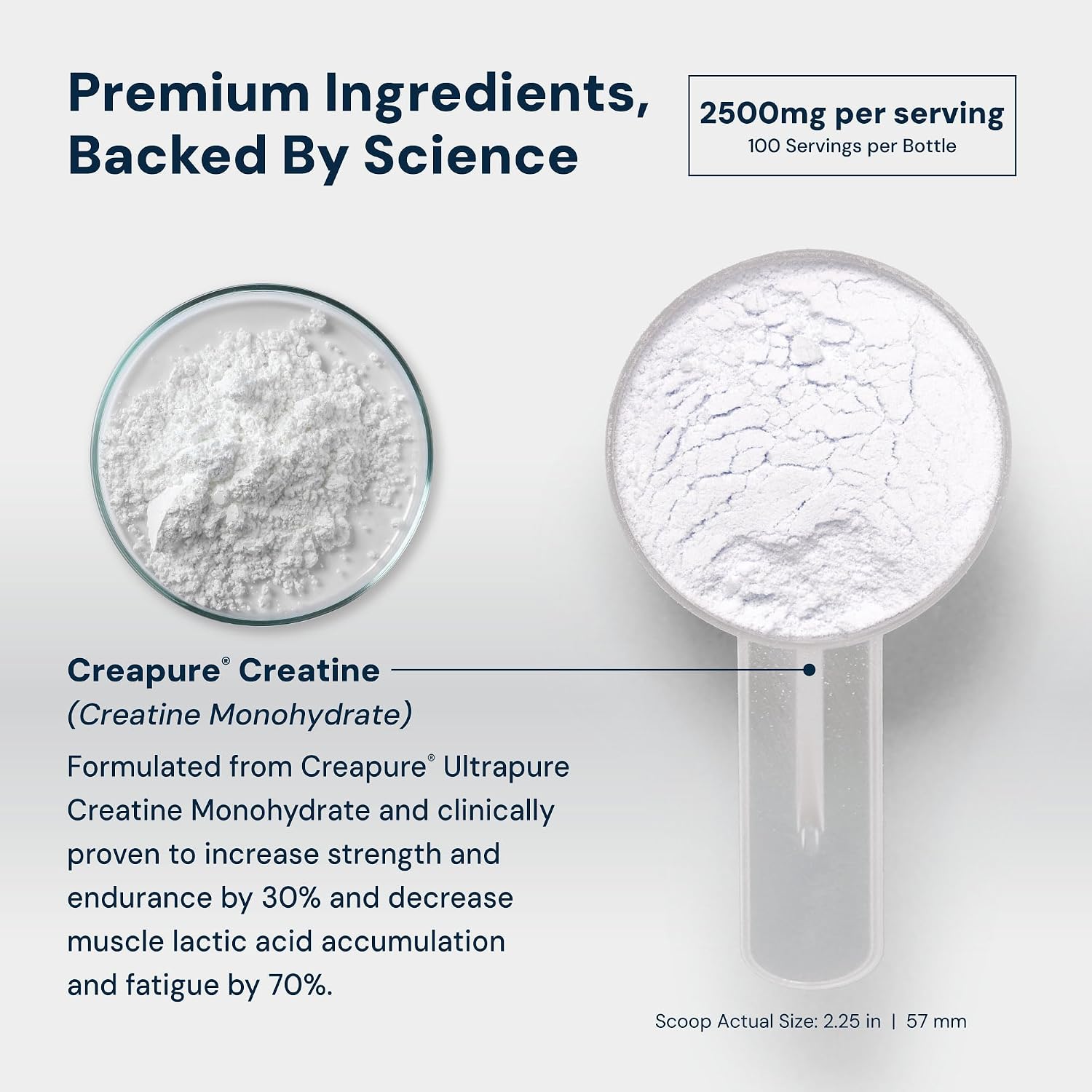 HPN C2 Creapure Creatine for Strength & Recovery, 100 Servings | Ultra-pure Creapure creatine supports strength, performance and recovery, vegan