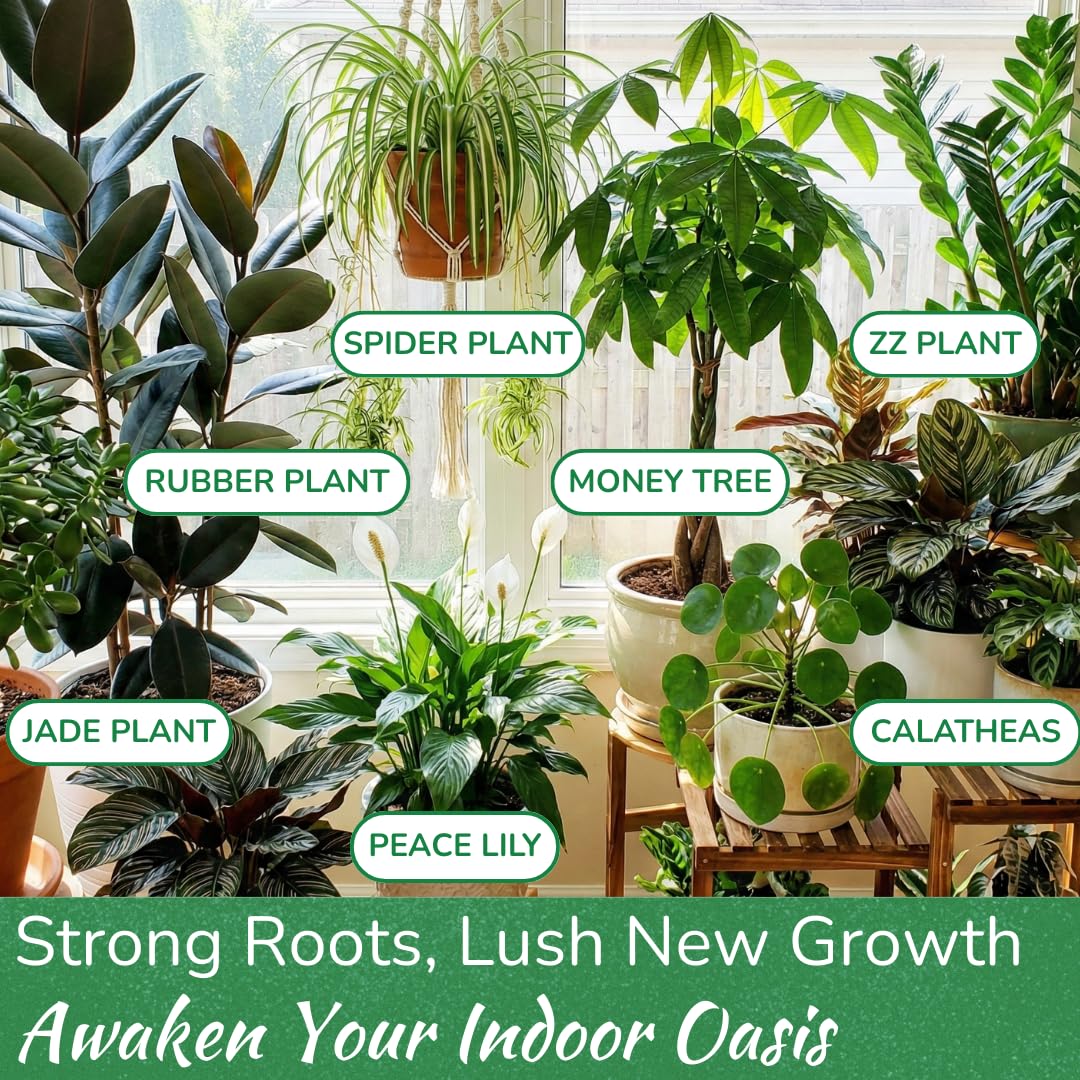 Indoor Plant Food by Houseplant Resource Center - Organic Liquid Fertilizer for Pothos, Peace Lily, Monstera, Cactus and More - 8 oz