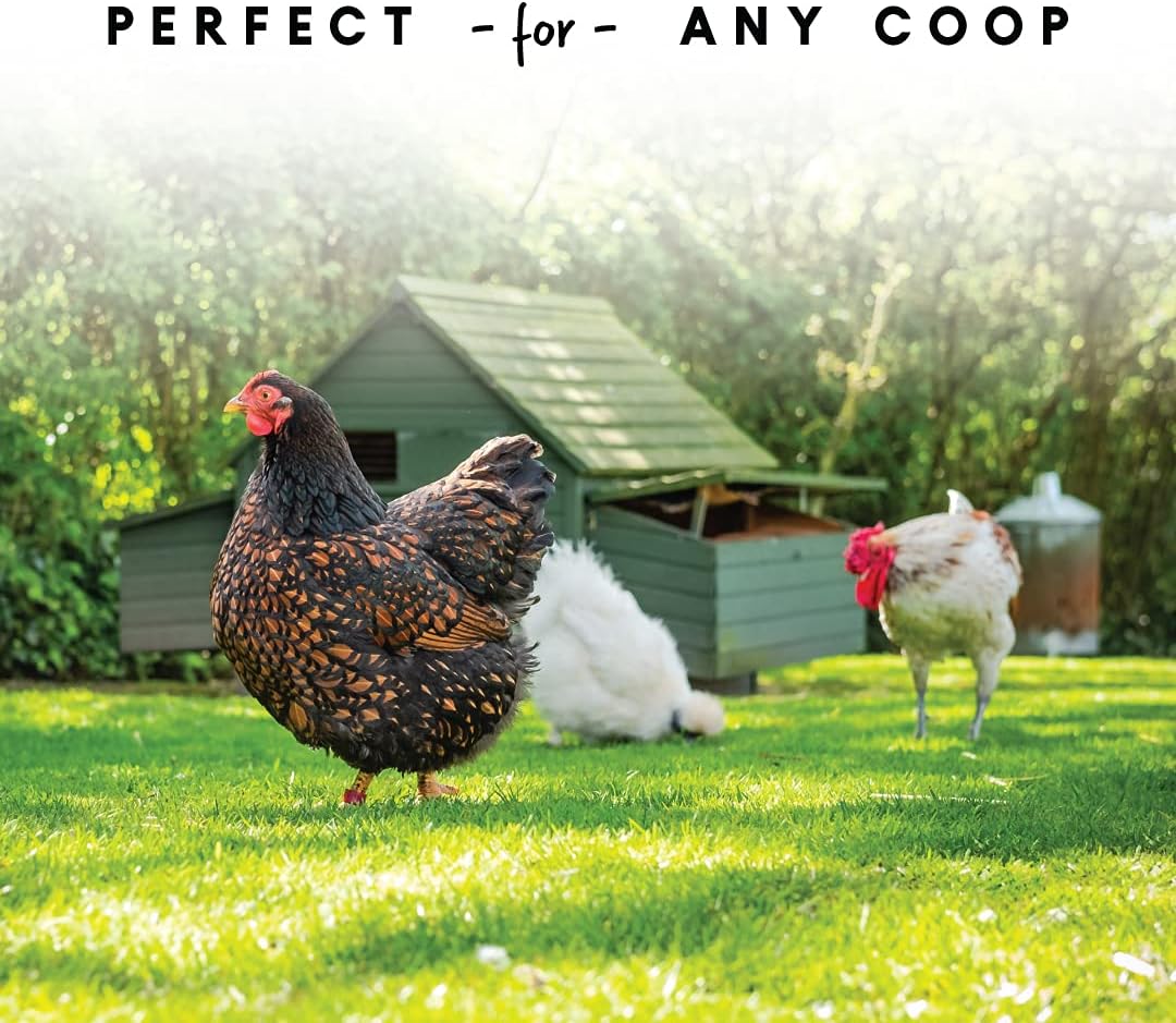 Harris Farms Hanging Poultry Feeder with Twist Lock Base, 10 lb Capacity | Feeds Up to 25 Birds, Hanging Design Helps Reduce Feed Waste