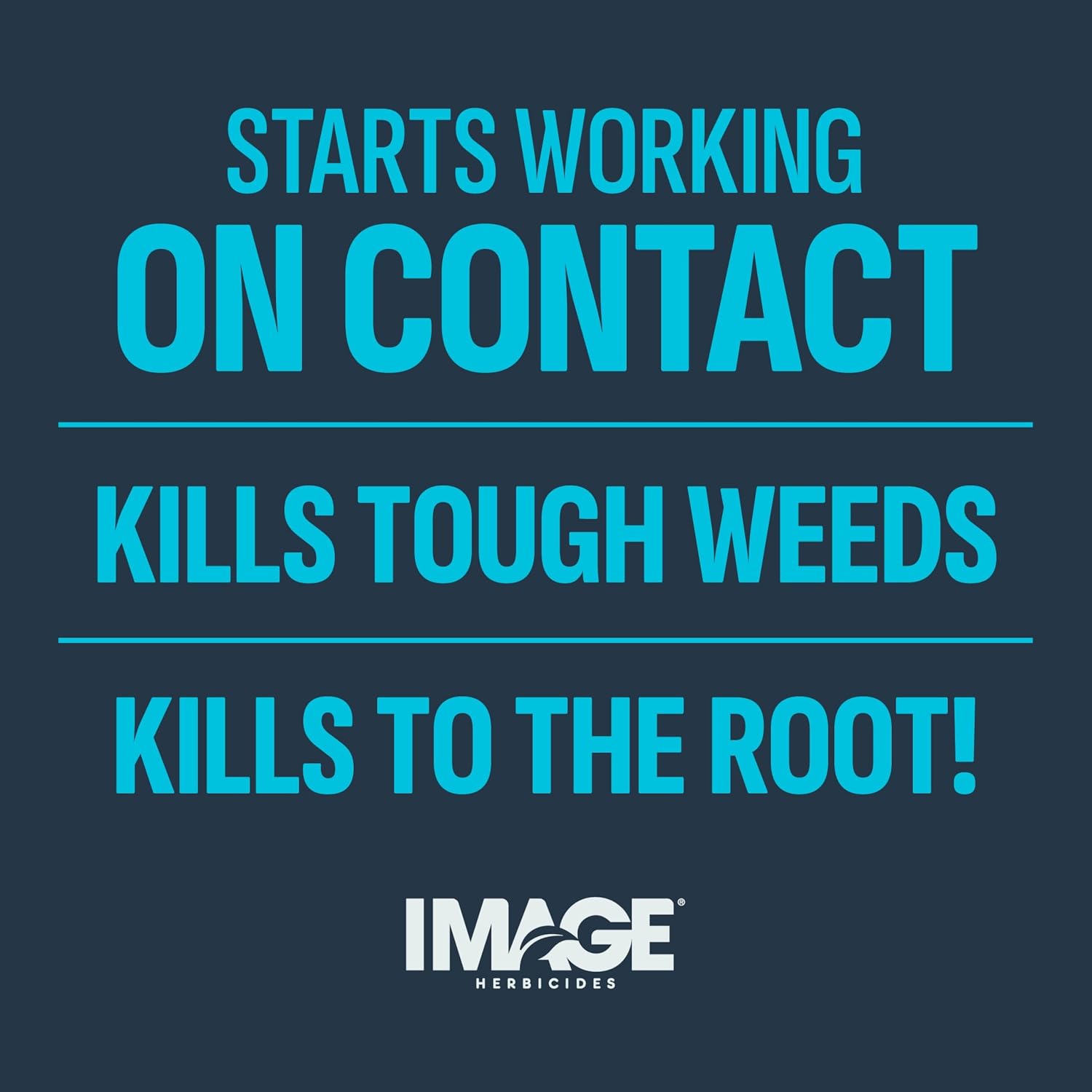 Image Herbicide Crabgrass, Nutsedge, & Weed Killer for Lawns 24 fl oz | Ready-to-spray weed spray, water based formula