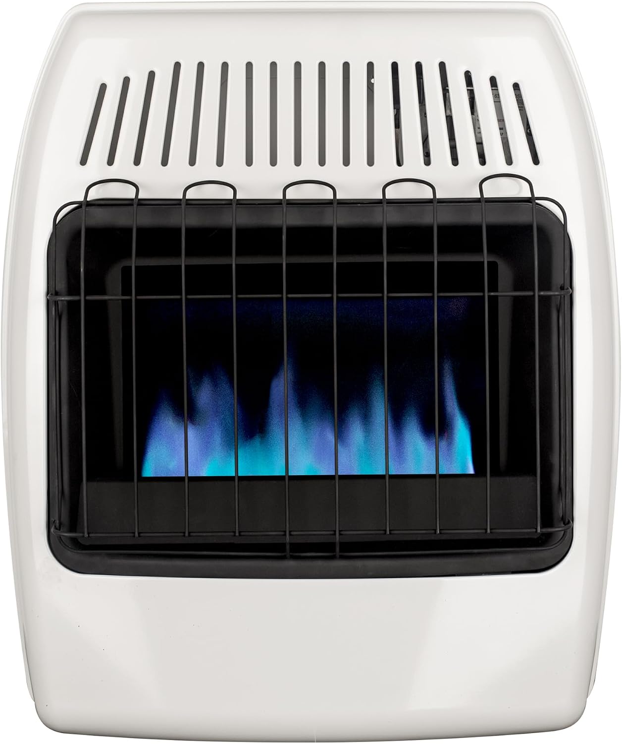 Dyna-Glo 20,000 BTU Natural Gas Blue Flame Vent Free Wall Heater