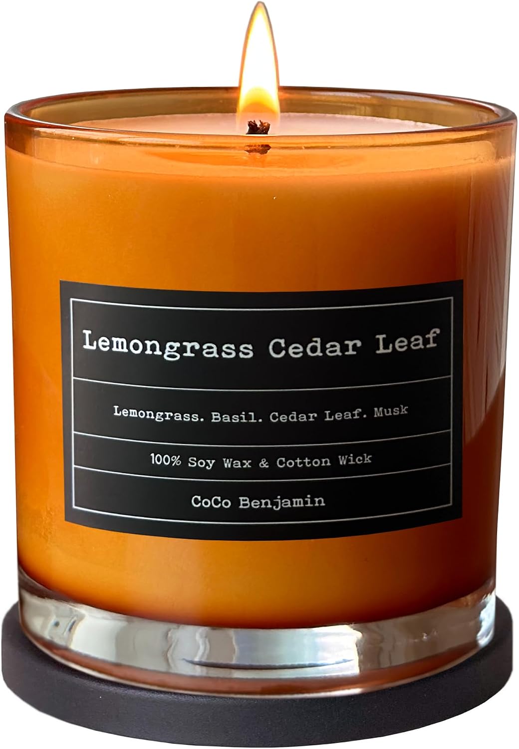 100% Natural Soy Wax Candle by CoCo Benjamin - Highly Scented & Hand-Poured Luxury Candle ((Majestic Balsam Fir Trees) - Clean Burning Cotton Wick