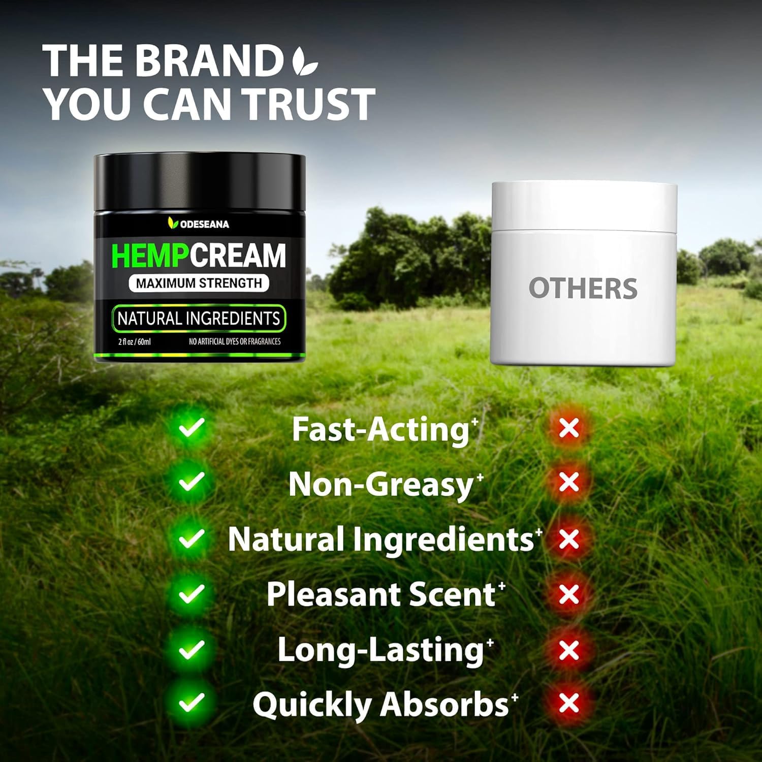 Hemp Cream with Arnica, Hemp Oil, MSM - 2 Pack - Maximum Strength Skin Care