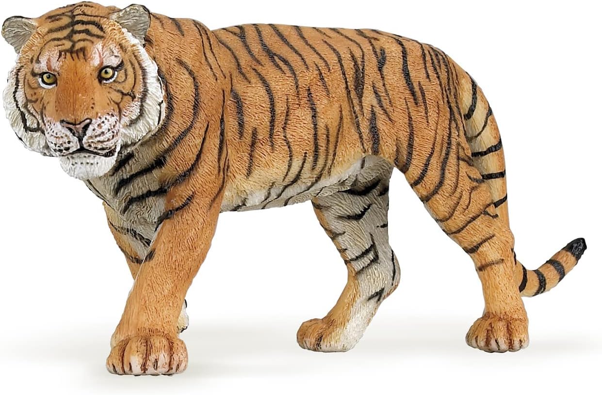 Papo Realistic Tiger Figurine Toy, Wild Life Collection