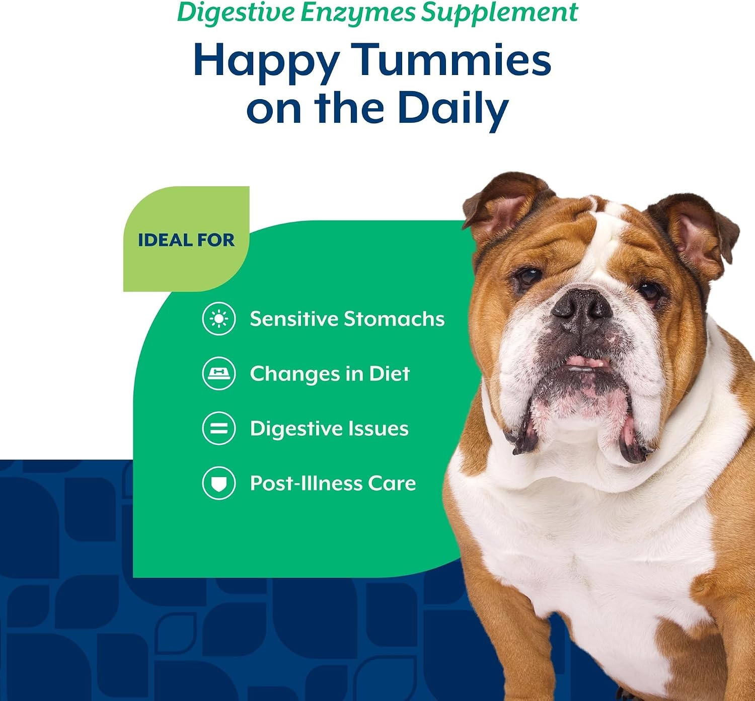 NaturVet Digestive Enzymes with Pre & Probiotic for Dogs & Cats - 8 oz | Supports Diet Changes & a Healthy Digestive Tract with Prebiotics, Powder