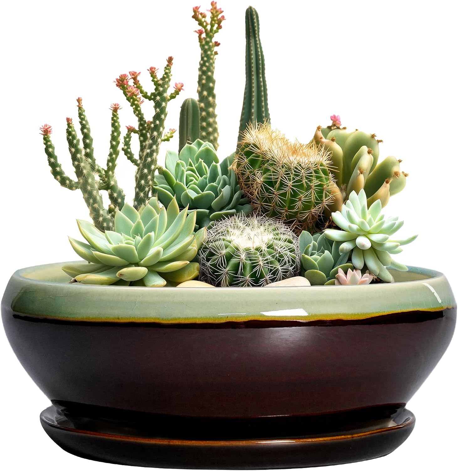 SQOWL 7 Inch Round Ceramic Succulent Planter Pot Drip Glazed Shallow Planter with Drainage Bamboo Tray for Indoor Plants