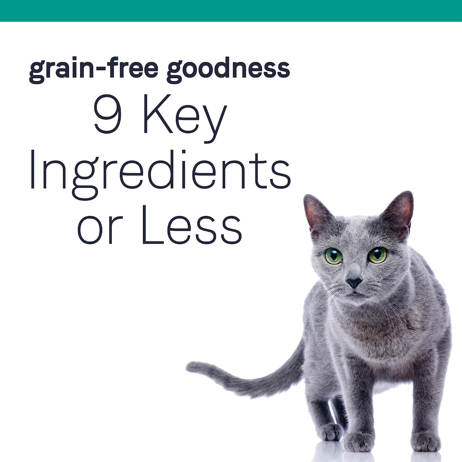 Canidae Pure Limited Ingredient Premium Dry Cat Food, Real Chicken Recipe, 10 lbs, Grain Free