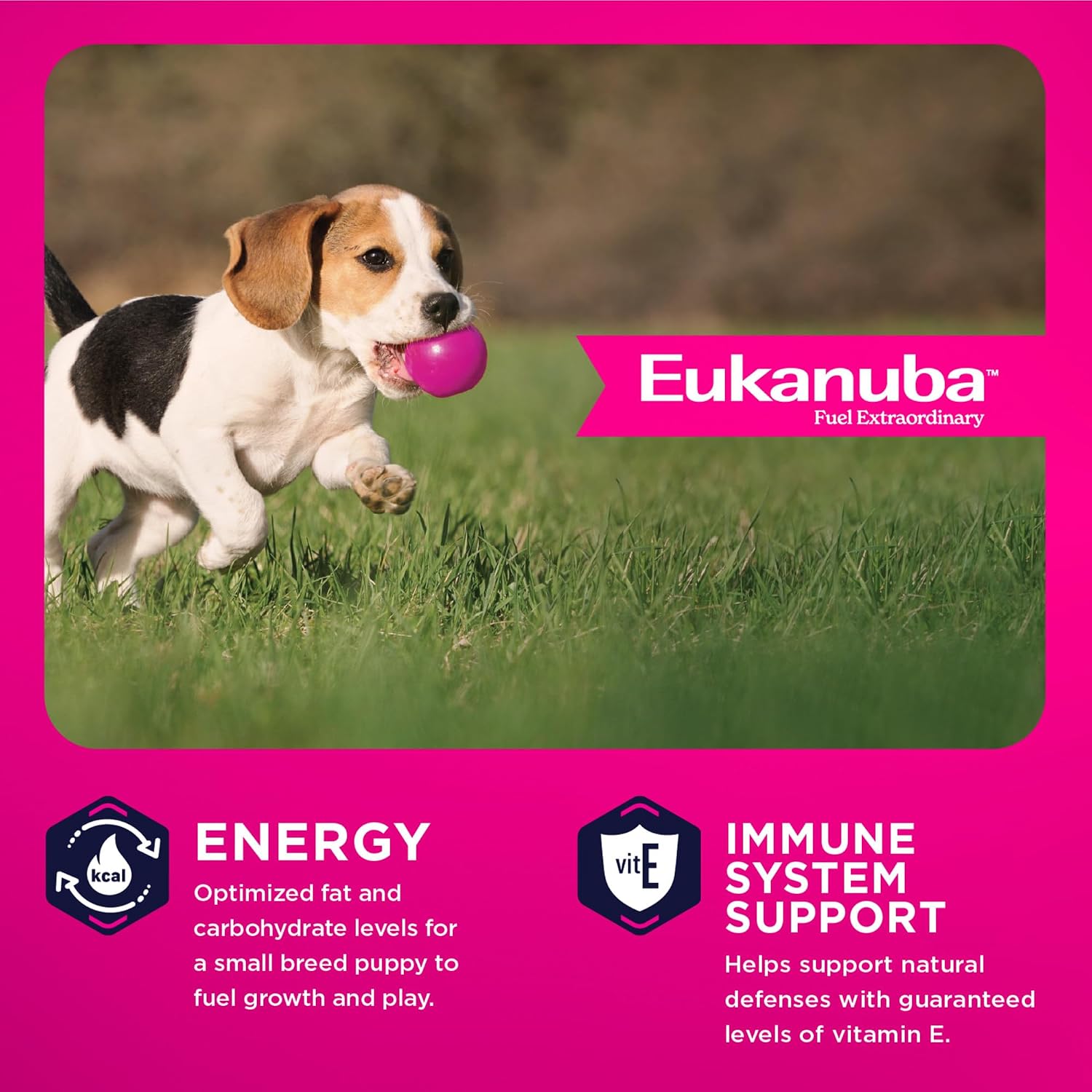 Eukanuba Puppy Small Breed Dry Dog Food, 4.5 lb Bag