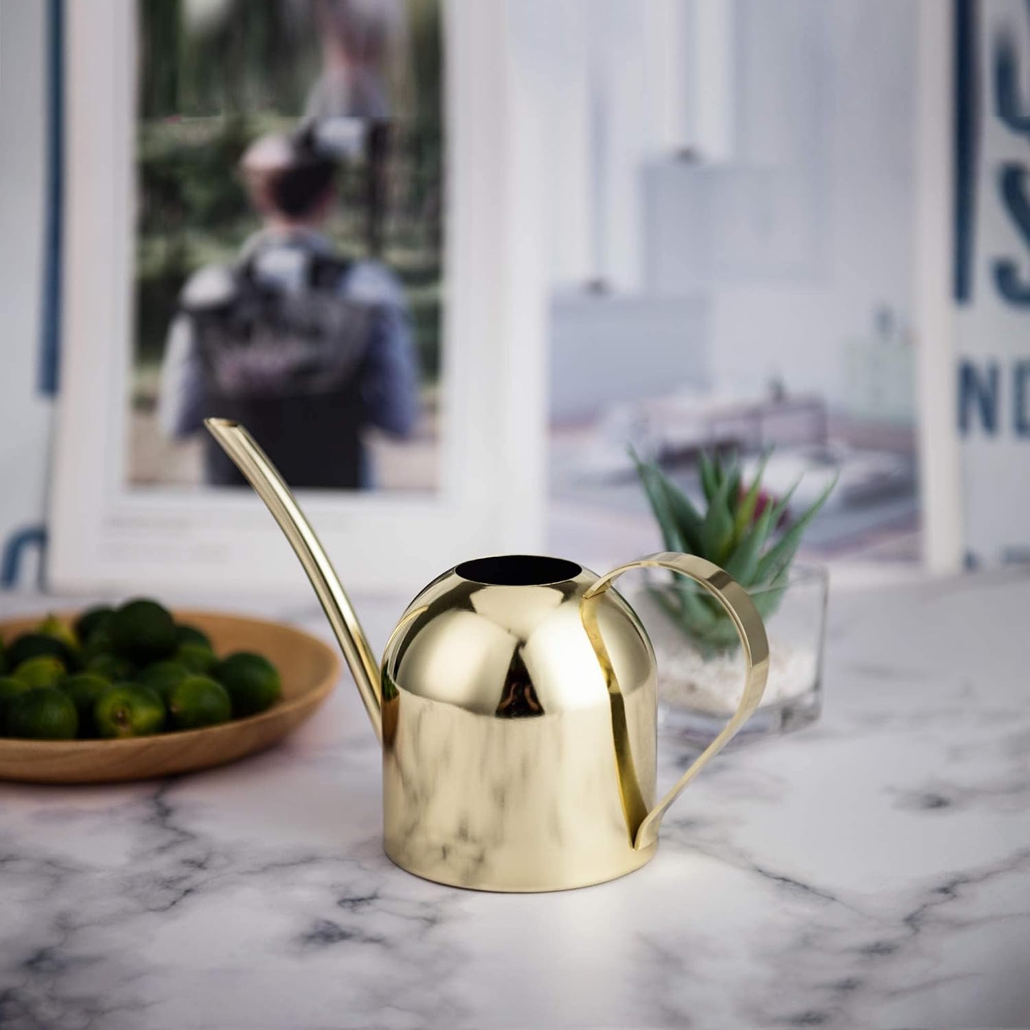 IMEEA Indoor Watering Can for House Plants 33oz/1L Brushed Stainless Steel Watering Can with Long Spout for Succulents, Bonsai