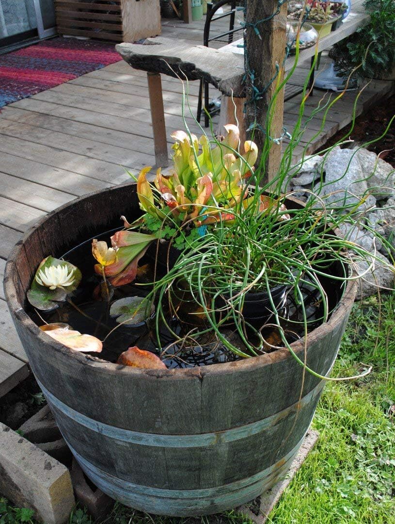 Reclaimed Used Wine Barrel Planter, Brown, Outdoor