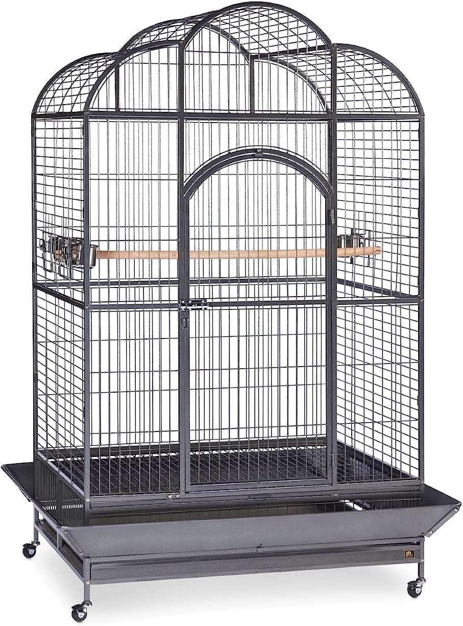 Prevue Pet Products Steel Bird Flight Cage with Wheels - Black, Large | Large Birdcage for Parakeets, Canaries, Finches, Cockatiels, Lovebirds, & Green Cheeks, Metal Standing Birdcage