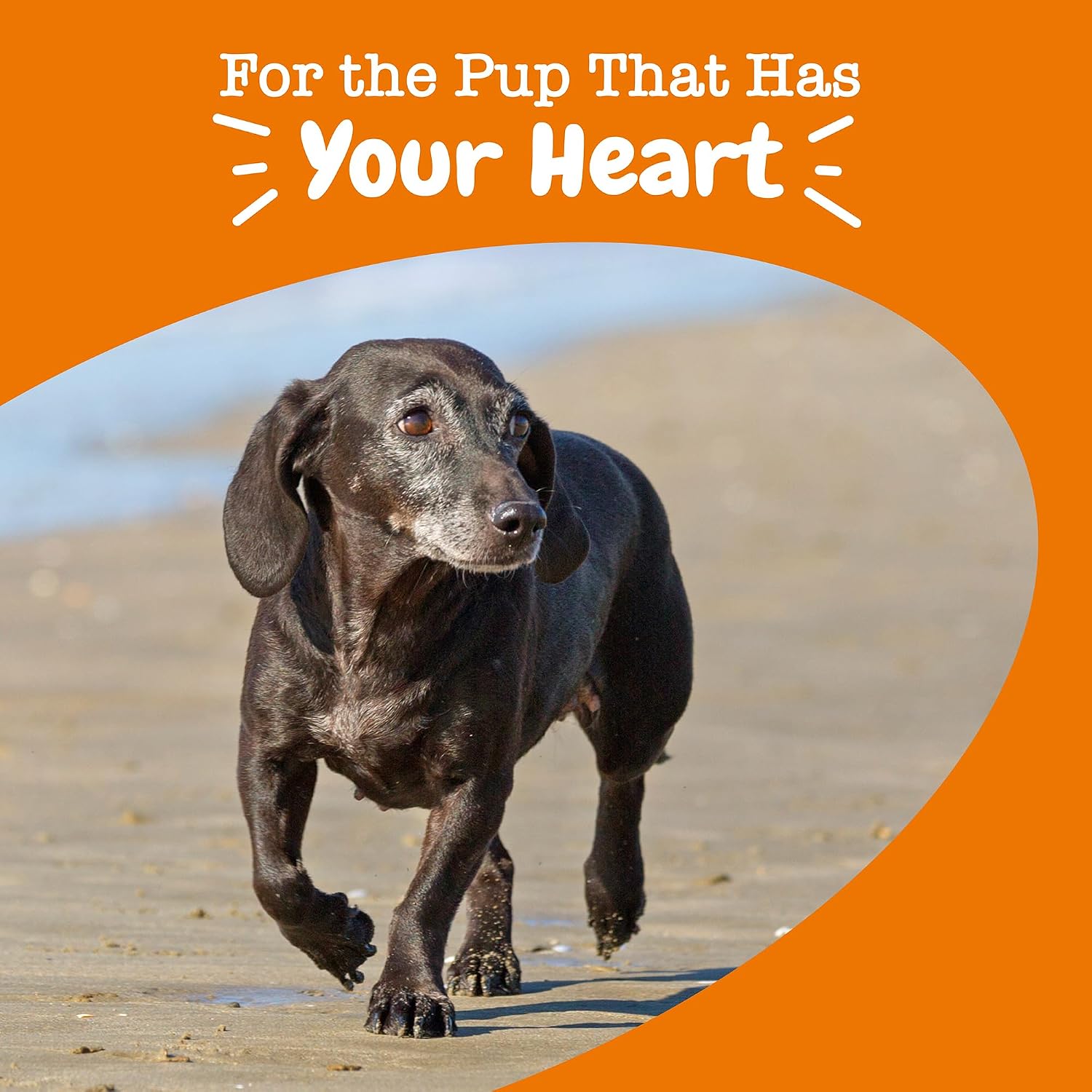 Zesty Paws Dog Heart Supplement - Taurine for Dogs, Salmon, 90 Ct