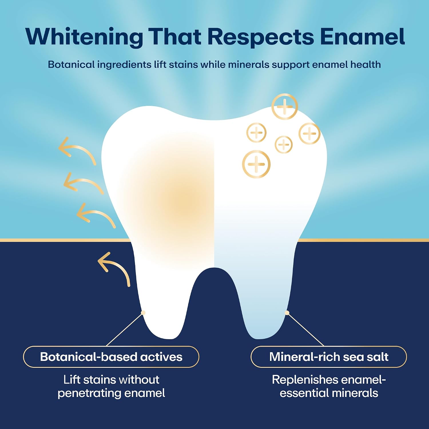 Lumineux Teeth Whitening Toothpaste, Peroxide Free, 3.75 oz, 2 Pack | Enamel safe, fluoride free, alcohol free, no artificial colors, SLS free, dentist formulated, gentle for sensitive smiles