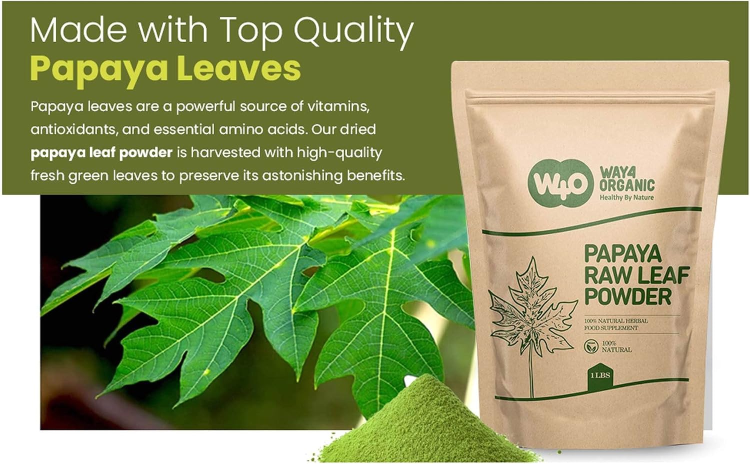 Way4Organic Papaya Leaf Powder 16 Ounces(1 Pound), Dried from Fresh Green Leaves, Good to Make Tea, Juice Extract, (No Fruit, No Seeds)