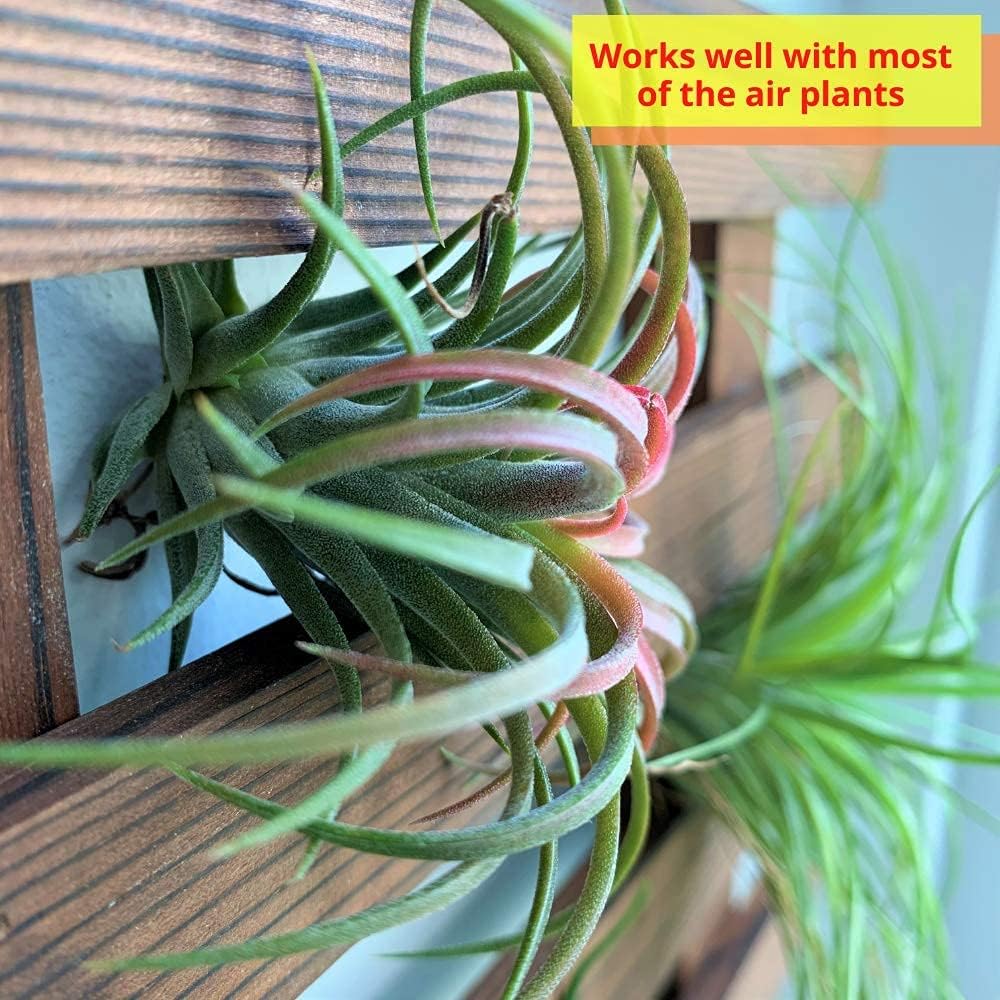 ShopLaLa Wall Planter (60cm, 2 Pack) Hanging Planters for Indoor Plants