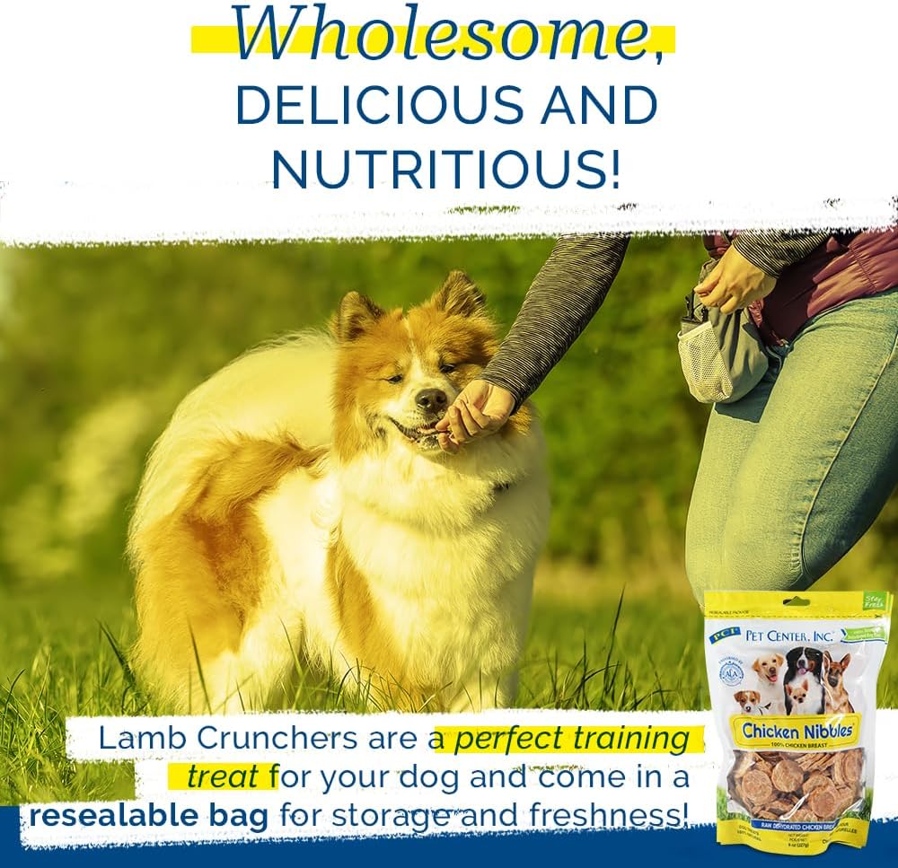 PCI Pet Center Inc. - Chicken Nibbles Dog Treat – 100% Real Raw Dehydrated Chicken Breast Bites for Small, Medium & Large Dogs - 8oz Bag