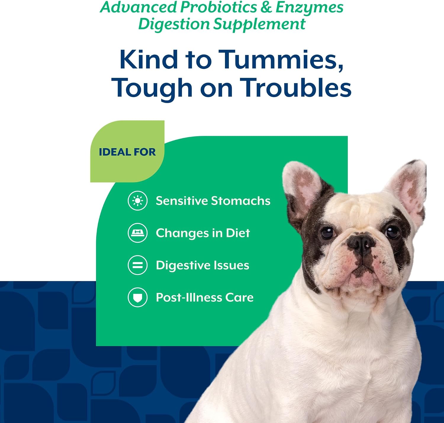 NaturVet Digestive Enzymes with Pre & Probiotic for Dogs & Cats - 8 oz | Supports Diet Changes & a Healthy Digestive Tract with Prebiotics, Powder