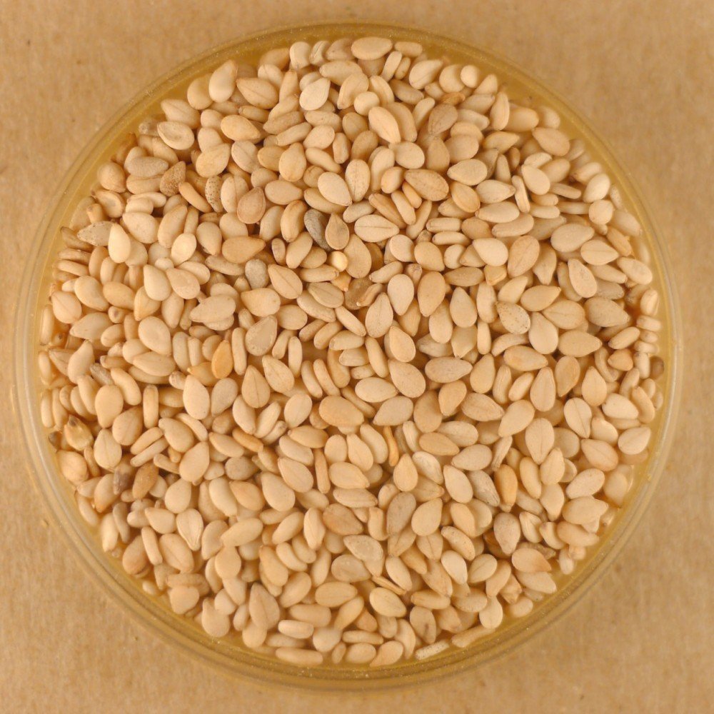 Sesame Seeds, Toasted - 10 lbs Bulk
