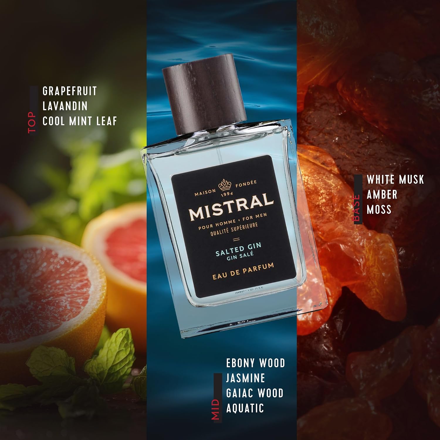 Mistral Bourbon Vanilla Eau de Parfum for Men, Men's Cologne, 3.4 Oz | Warm & Sweet Masculine Scent with Vanilla, Patchouli & Sandalwood, Cruelty-Free, Long-Lasting Perfume, Made in France