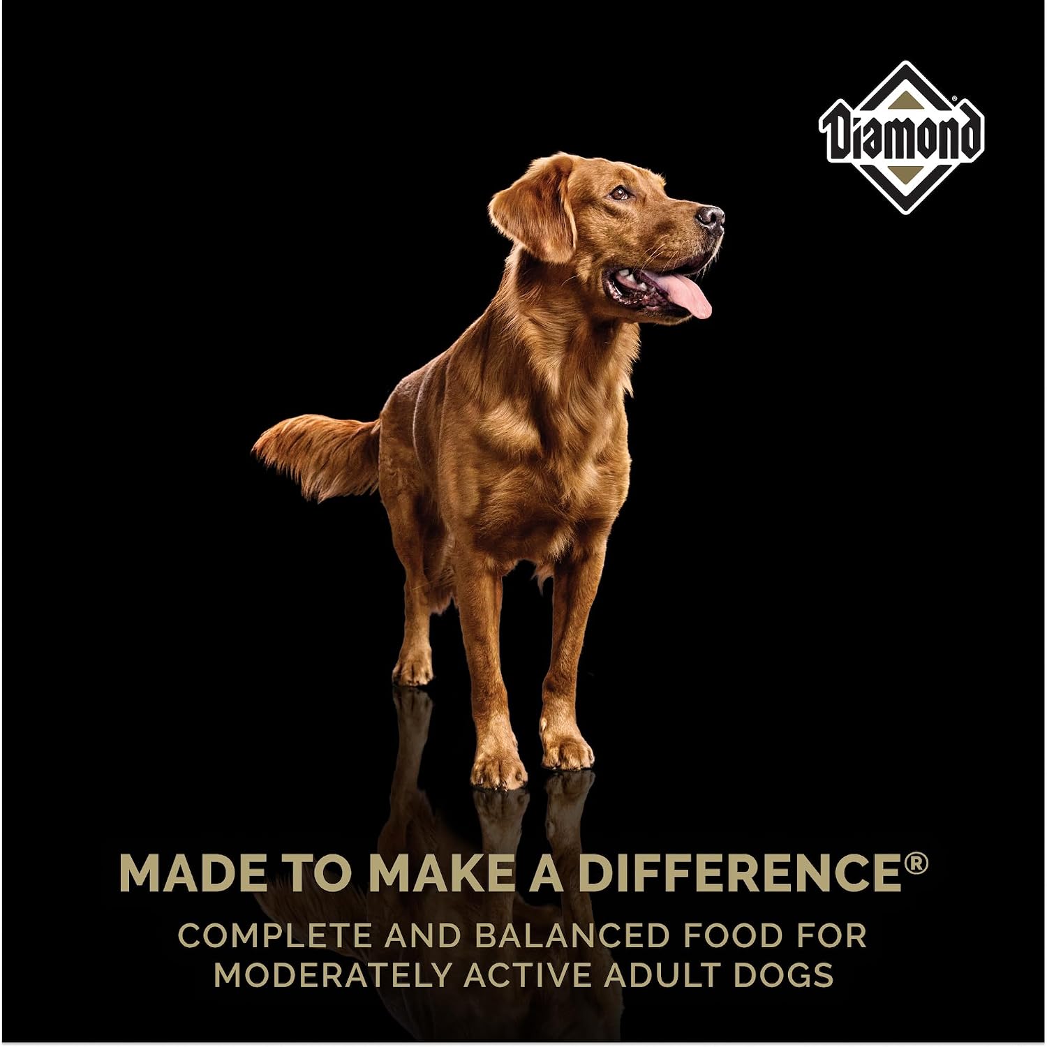 Diamond Maintenance Adult Dry Dog Food, Chicken Protein, 40lb | For Moderately Active Dogs | Omega Fatty Acids Help Support Healthy Skin & Shiny Coat | Guaranteed Probiotics