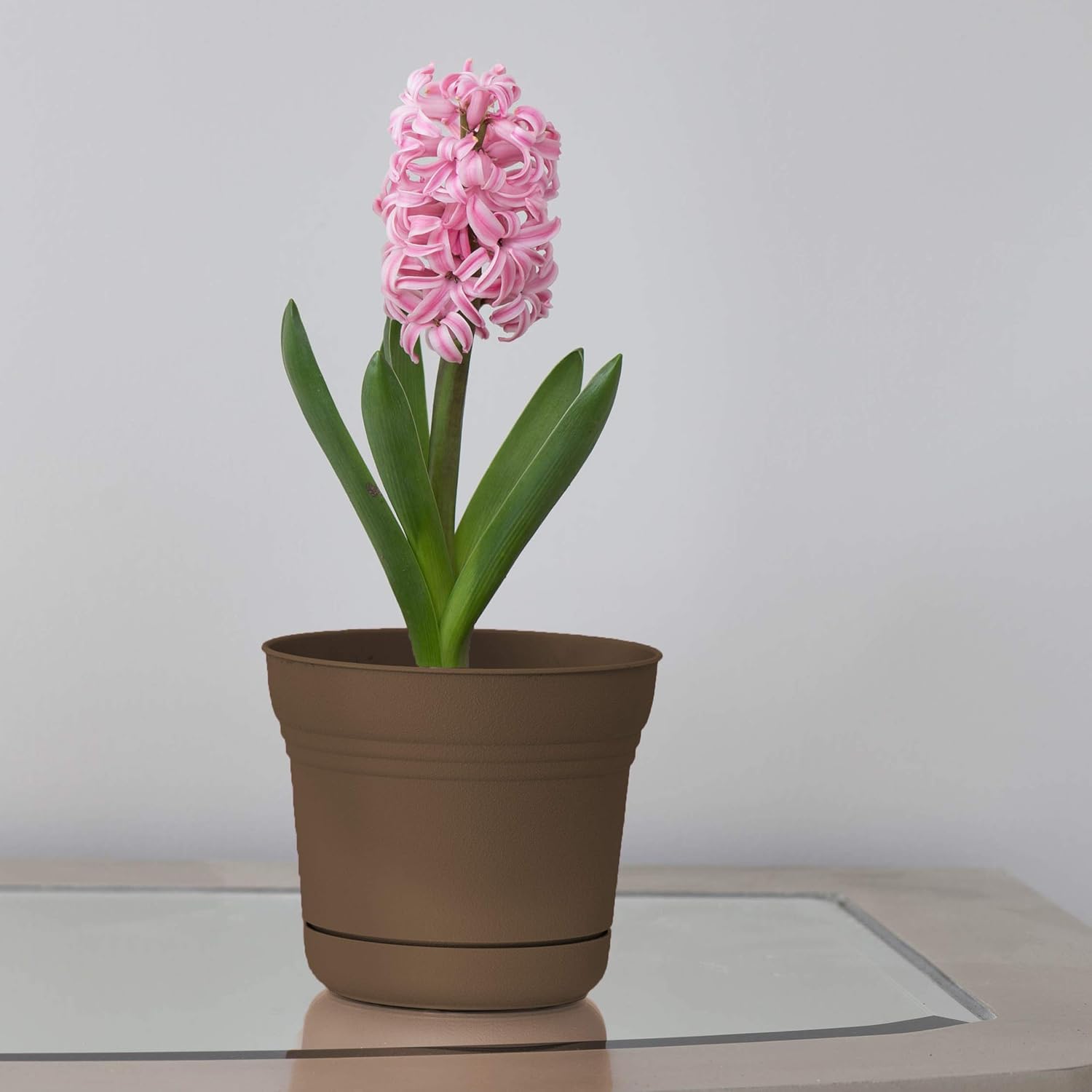 Bloem Saturn Planter with Saucer, 10", Calypso (SP1027)