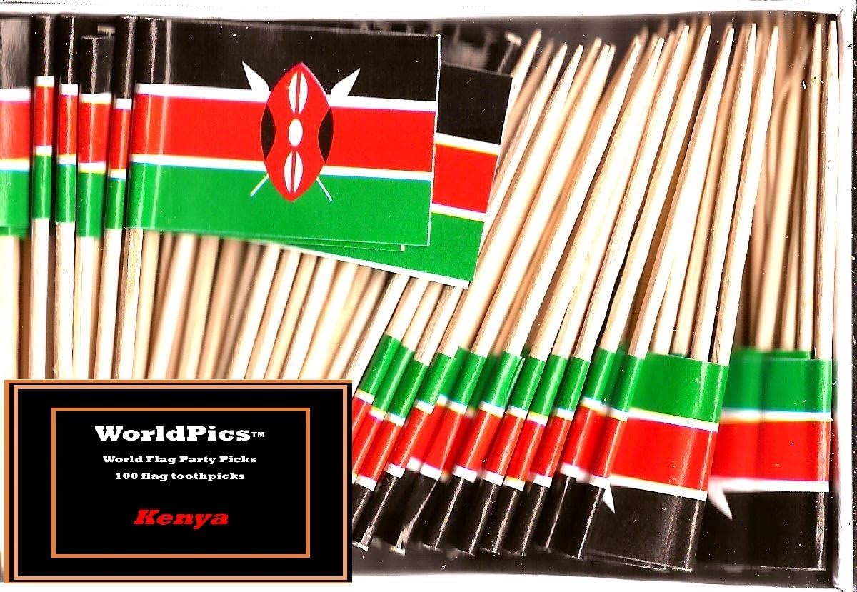 One Box of 100 Nicaragua Toothpick Flags, 100 Small Mini International Flag Cupcake Toothpicks or Cocktail Picks