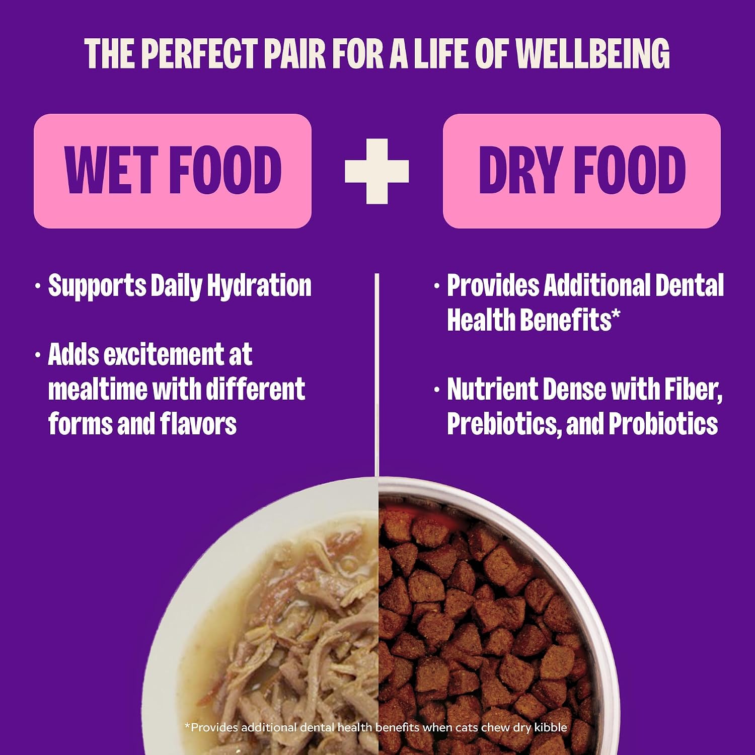Wellness CORE Signature Selects Shredded Adult Canned Wet Cat Food, Natural, Protein Rich, Grain Free, Chicken Entrée Recipe, 2.8 oz, Pack of 12 Cans