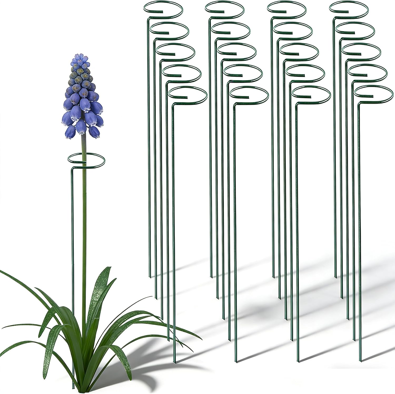 10 Pieces 24 inch Green Single Stem Plant Stakes Flower Support Rings,Gardening Planter Cages for Single Stem Flowers, Amaryllis, Peony, Lily,Narcissus