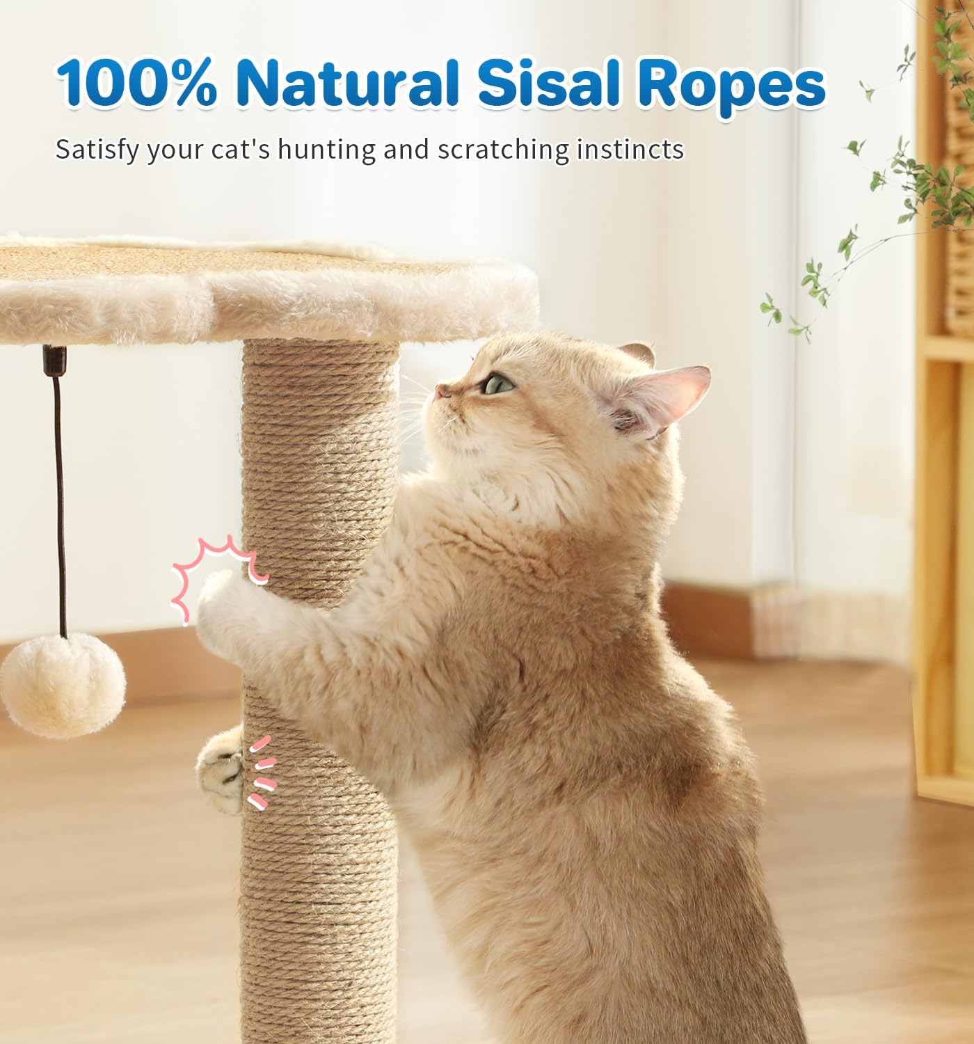Made4Pets Kitten Toy Scratching Post for Indoor Cats with Ball Track