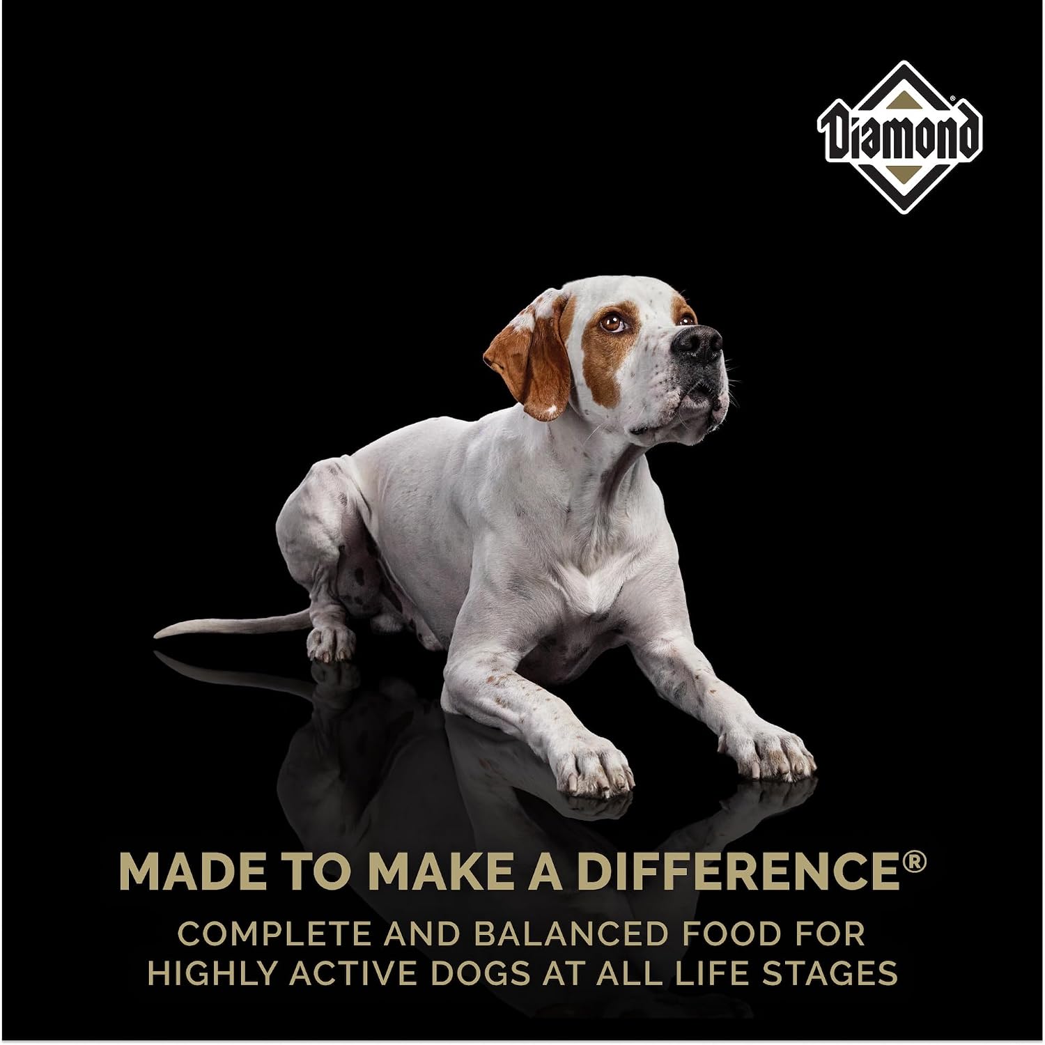 Diamond Maintenance Adult Dry Dog Food, Chicken Protein, 40lb | For Moderately Active Dogs | Omega Fatty Acids Help Support Healthy Skin & Shiny Coat | Guaranteed Probiotics